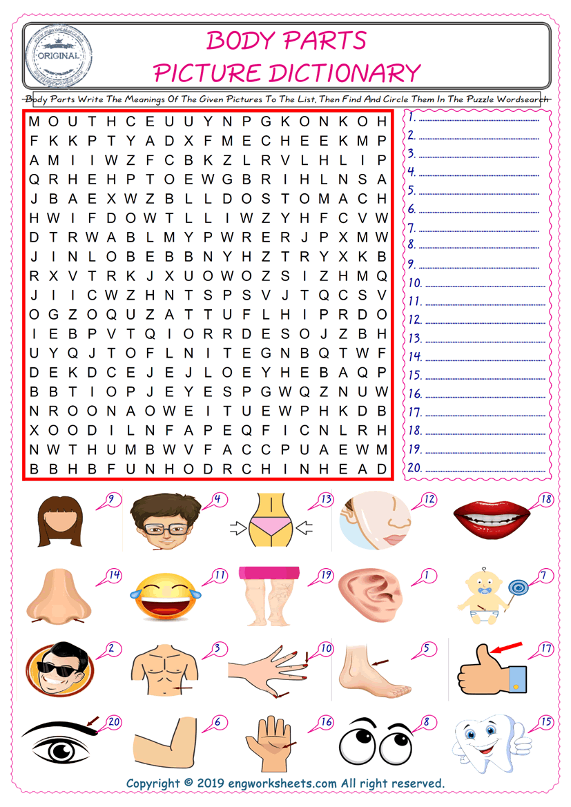  For kids, check the picture of Body Parts find, and write the word and find it in the word puzzle ESL printable worksheet. 